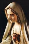 NS - Virgen_de_Fatima